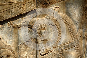 Persian ruins, Persepolis, Iran