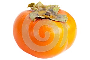 Persimmon