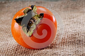 Persimmon on a canvas