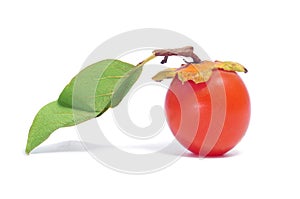 Persimmon fruit photo