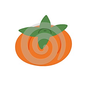 Persimmon fruit. Vector flat illustration isolated on white.