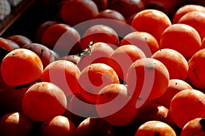Persimmon fruits in autumn