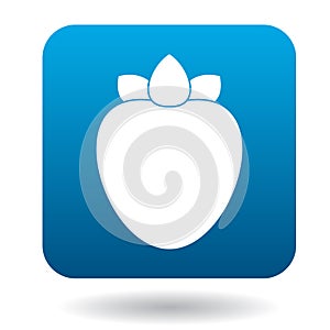 Persimmon icon in flat style