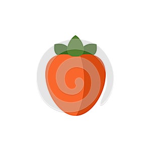 Persimmon icon in flat style