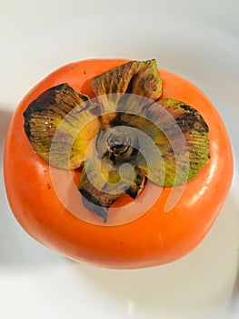 Persimmon