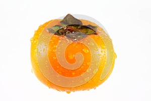Persimmon splashed with water drops