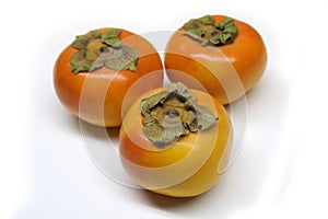 Persimmons photo