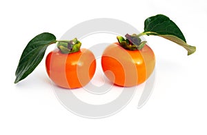 Persimmons photo