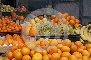 For persimmons there was no place photo