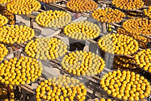 Persimmons under the sun