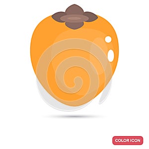 Persimon fruit color flat icon