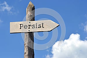 Persist - wooden signpost with one arrow