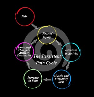 Persistent Pain Cycle