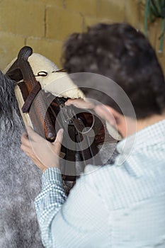 Person adjusting the saddle strap to the horse.