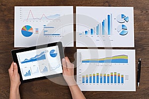 Person Analyzing Financial Charts