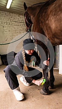 Person brushing horse\'s legs in stable