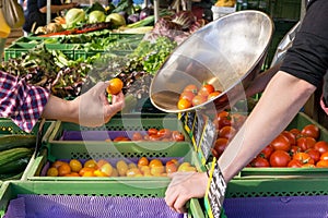 Person buying fresh tomatoes at a farm market.