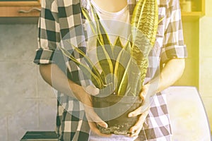 Person in casual shirt holding a flower in a pot at home