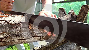 person chopping wood with old saw