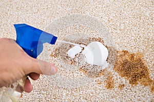 Person cleaning carpet