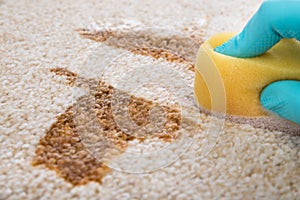 Person cleaning carpet with sponge