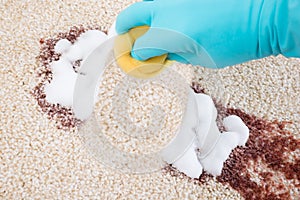 Person cleaning carpet with sponge