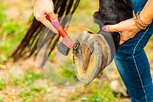 Person cleaning horse hoof with hooves