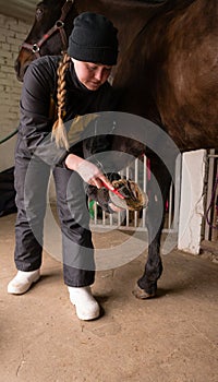 Person cleaning horse\'s hooves in stable