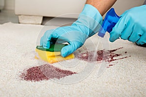 Person Cleaning Stain On Carpet