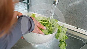 Person cleaning veggies in bowl in kitchen sink for recipe