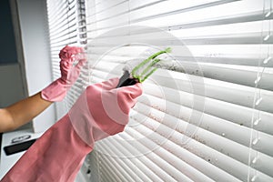 Person Cleaning Window Blinds