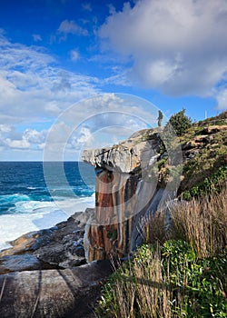 Person on Cliff Looking at Ocean