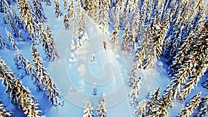 Person cross country skiing through a winter wonderland with snow capped forest and beautiful skiing trails on a sunny day.