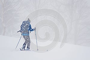 person crosscountry skiing during a mild snowstorm photo