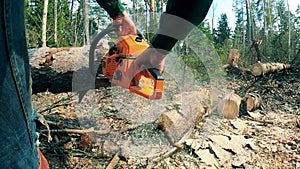 A person is cutting a fallen tree with a chainsaw