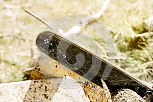 A person cutting wood with a gasoline powered chainsaw