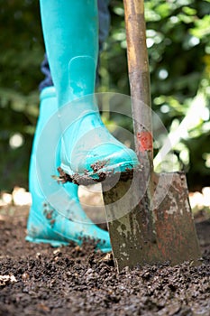 Person digging in garden