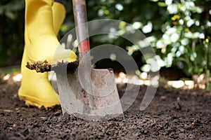 Person digging in garden