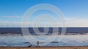 Person with dog walking along the beach at waters edge.