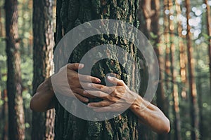 Person embracing a tree. Allusive to Environment Day