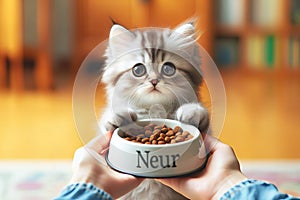 A person is feeding a cat food in Neur bowl