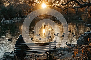 person feeding ducks in a pond with bread and a bench