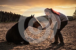 person feeding horse that lie down on ground while sundown at open country