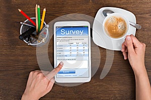 Person Filling Survey Form On Mobile Phone