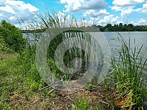 Fishing rod near the lake shore overgrown with green grass and cattails