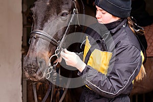 Person fitting bridle to horse in stable