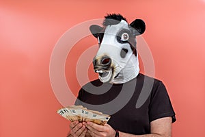 Person with funny latex cow mask counting money