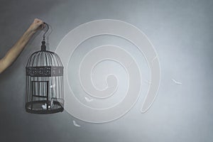 Person gives freedom to a bird locked in a cage, feathers flying, concept of freedom