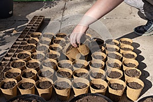 Person grabbing seeds and soil in small peat pots to plant