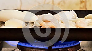 person grilling an adriatic sea squid on a gril on a home kitchen stove